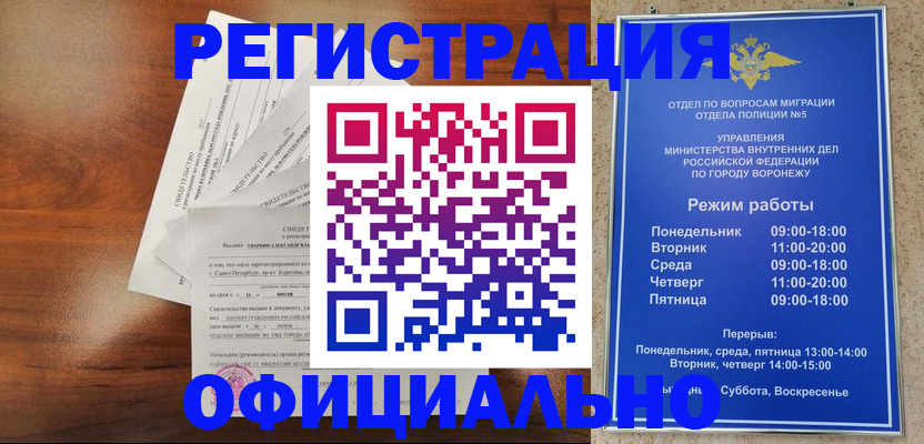 прописка поиск в Александрове